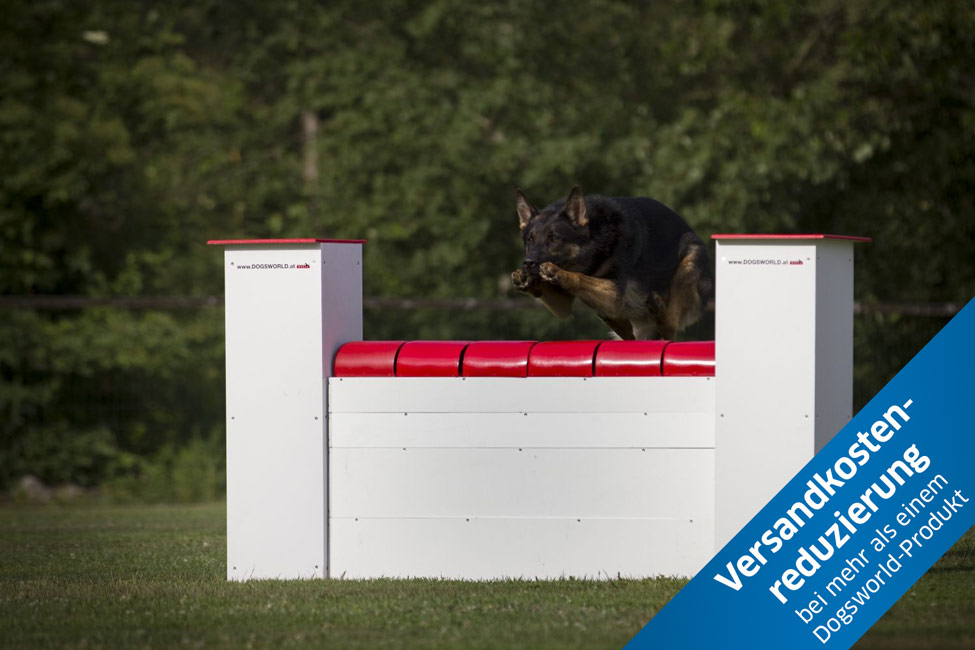 Dogsworld Agility Mauer
